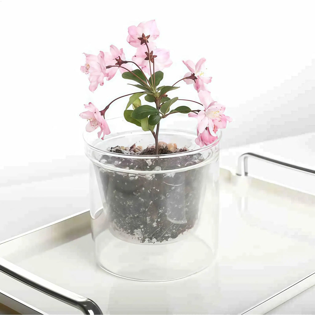 Clear Glass Flower Pot Double Layer Self Watering Planter Hydroponic