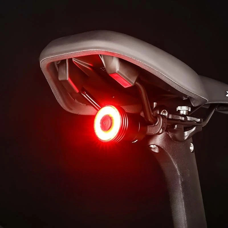 Bicycle Taillights Mountain Road Bikes High Brightness Warning Lights Intelligent Brake Sensor Lights Outdoor Cycling Taillights Zpaxo