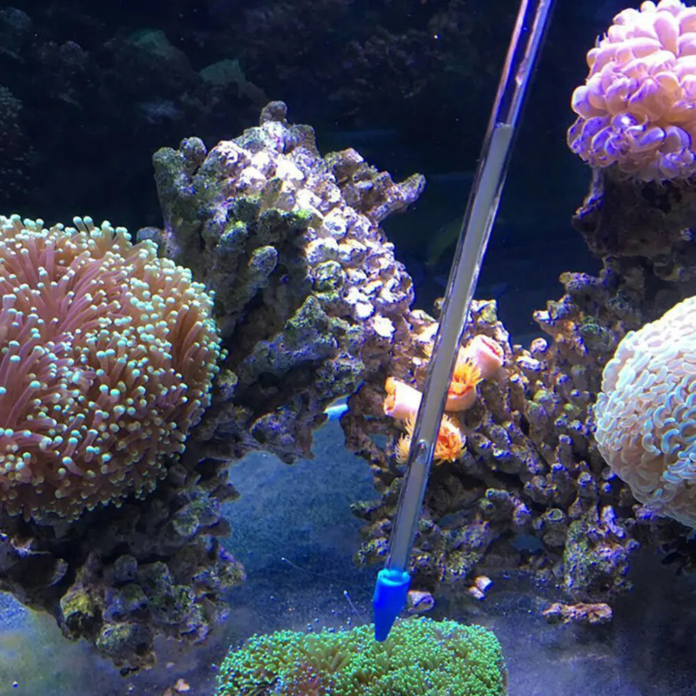 Premium Silicone Glass Coral Feeder Tube Long Flexible Aquarium Spot