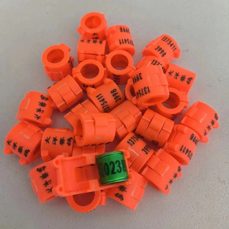 Custom Engraved Pigeon Leg Bands- Male Female ID Rings Racing Pigeons