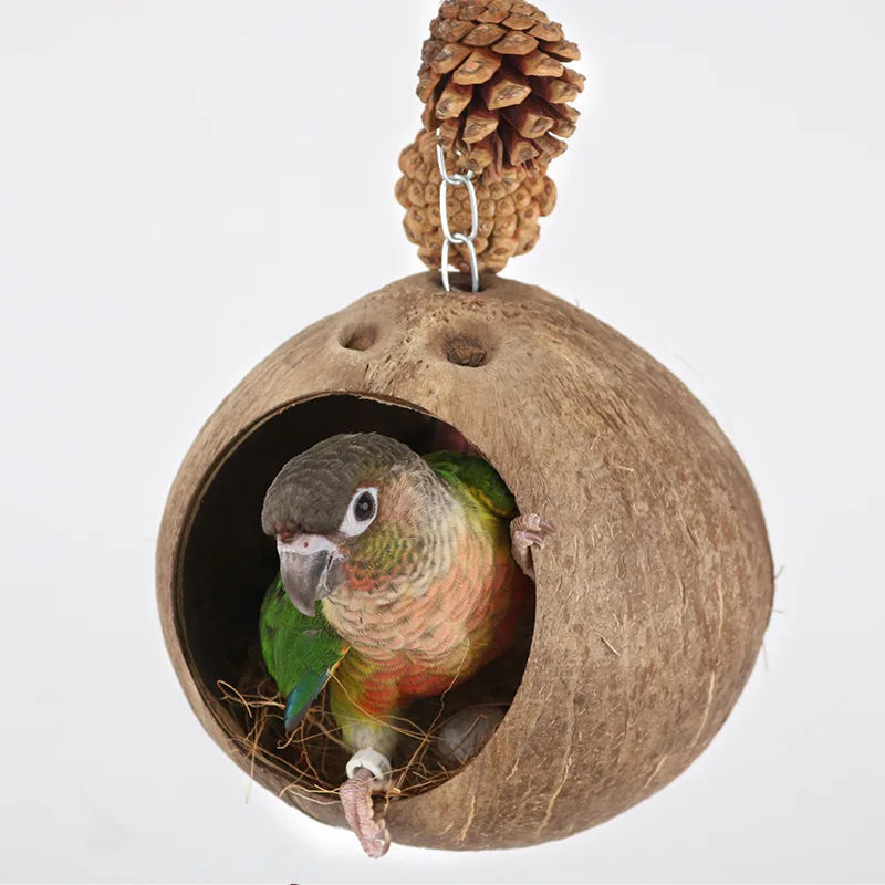 Hamster House Bite-resistant Natural Small Pet Coconut Cages Guinea-pig Hamster Hideout House Toy Wooden House Pet Supplies Zpaxo