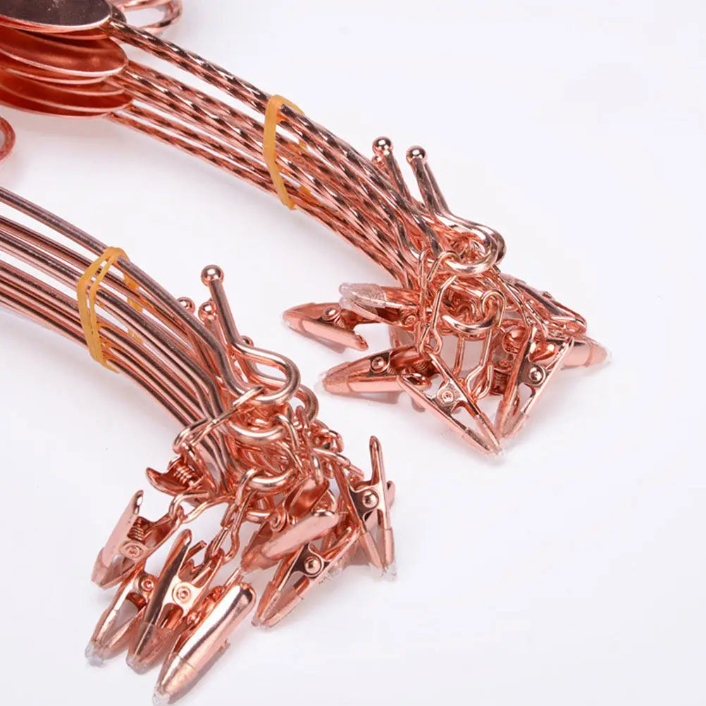 Chic Rose Gold Clip Hanger Premium Non-slip Underwear Bra Pants