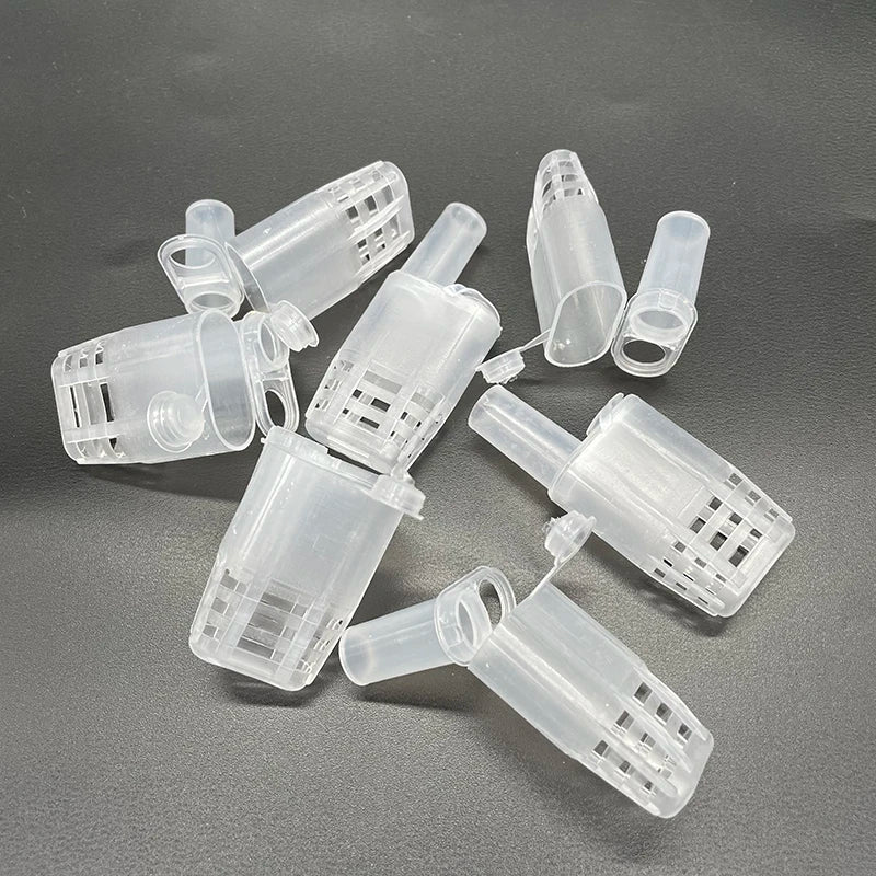 White Bee Queen Safety Beekeeping Cages Protection Wangtaipu Cage