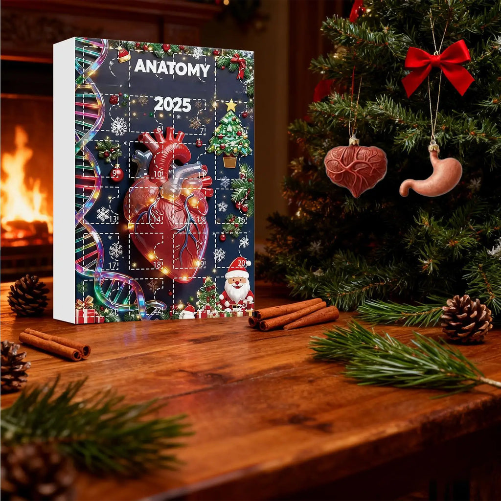 2025 Science Theme Advent Calendar 24 Days Countdown Decorations