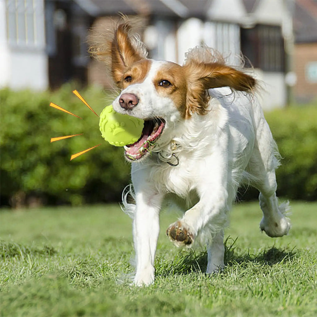 Indestructible Squeaky Dog Balls Latex Toy Ball Teething Chewing