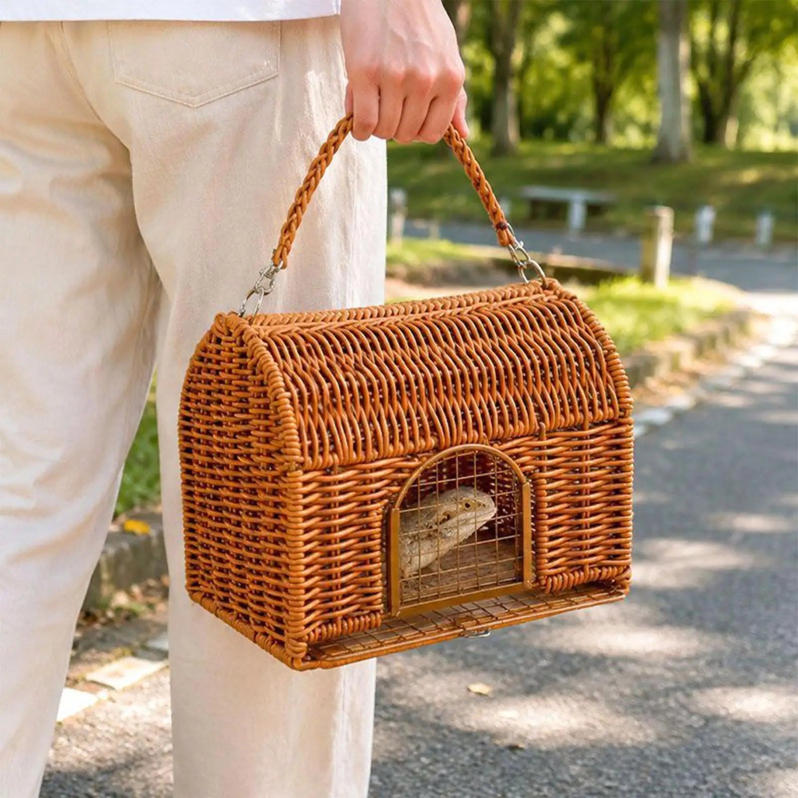 Bearded Dragon Carrier Handle Carrying Sleeping House All Season