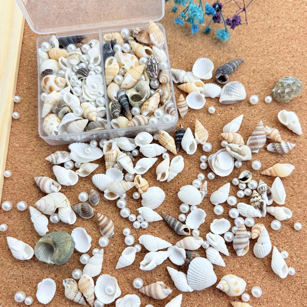 Natural Mixed Seashells & Ocean Pearls – Beach Decor & Crafts Decorative Seashells Zpaxo