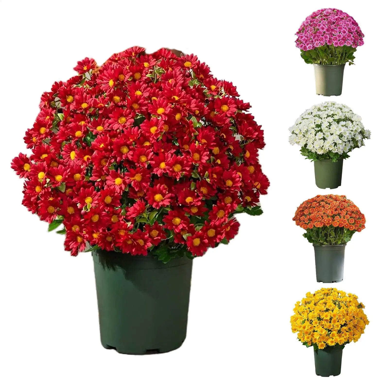Artificial Mums Outdoors 10-Bundle Outdoor Sunset Fall Flowers