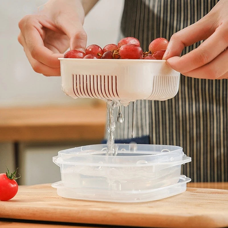 Food Storage Box Rice Fruit Preservation Container Microwave Oven Zpaxo
