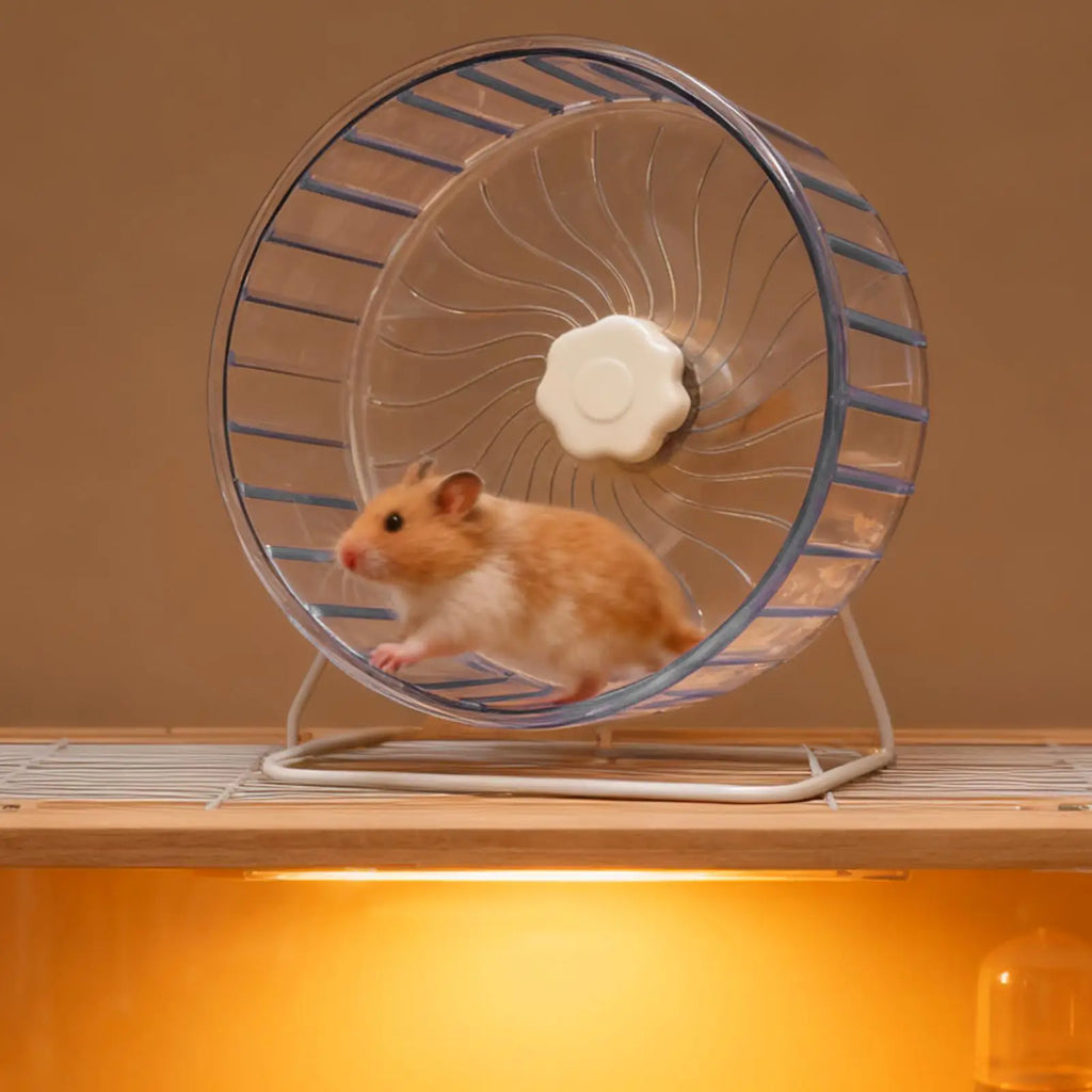 Hamster Wheel Small Double-Bearing Quiet Spinner Gerbil Small Animals Running Wheel for Mice Dwarf Animals Pets Cage Zpaxo