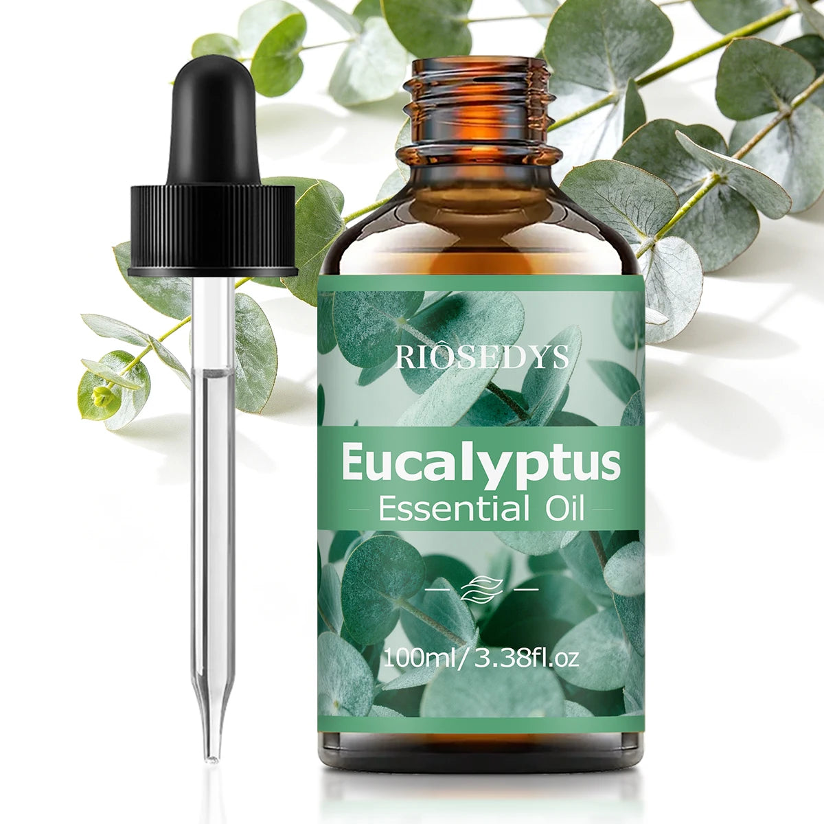 EUCALYPTUS ESSENTIAL OIL is moisturizing and nourishing massage oil suitable for skincare, fragrance, massage, all skin types. Zpaxo 100ml EUCALYPTUS Other