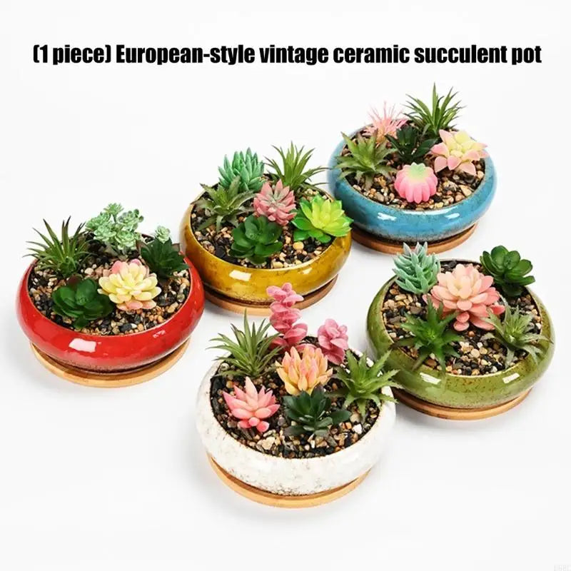 Succulents Bowl Planter Water Planting Container Ceramic Leakproof Spacious Bowl Planter For Indoor Outdoor Succulents Zpaxo