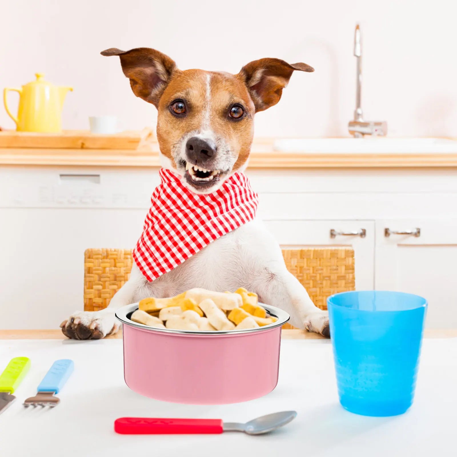 Stainless Steel Pet Bowl Dog Cat Hanging Feeder Non-overturn Unique