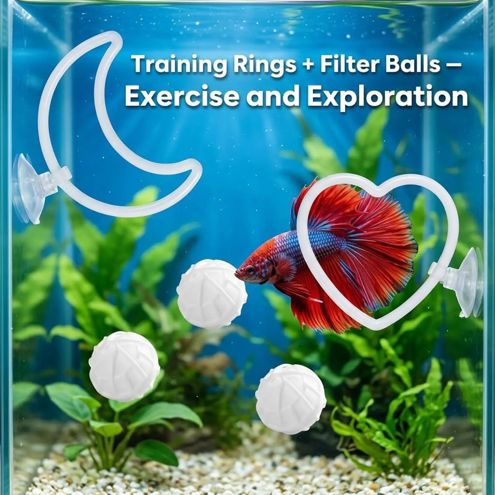 Betta Enrichment Toys 7 Training Moon Heart-shaped Ring Tank Decor