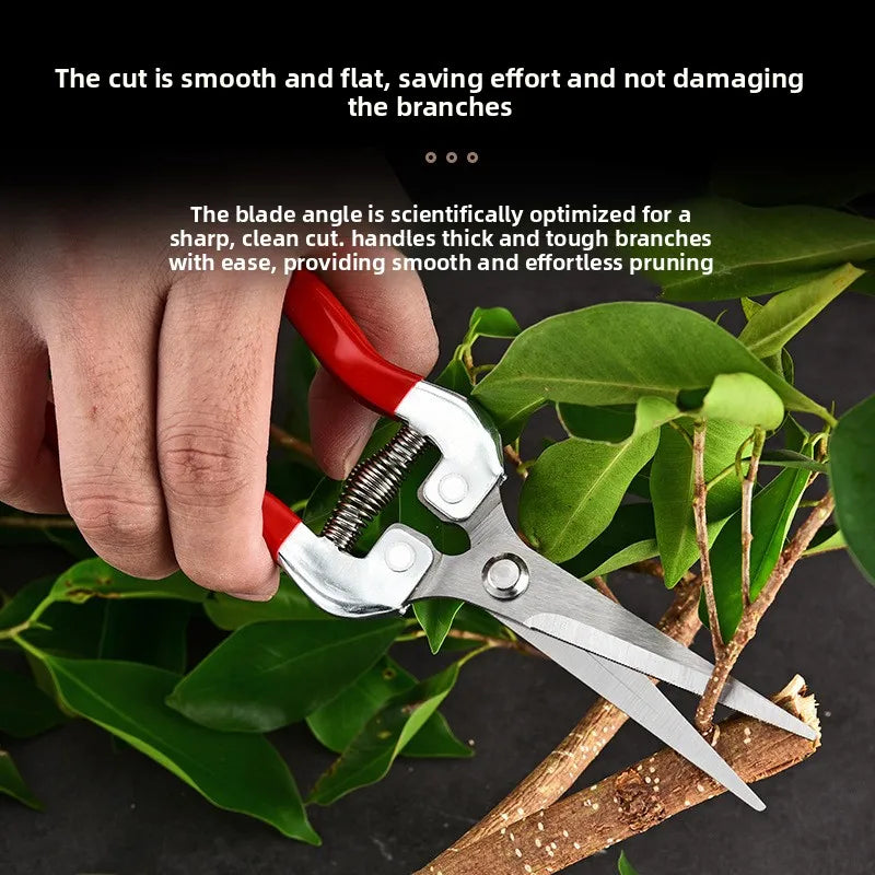 Stainless steel pruning shears, orchard fruit picking shears, orchard fruit trees, flower branches grafting scissors tools Zpaxo
