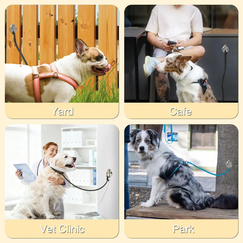 Stainless Steel Dog Lead Hook Rustproof Indoor Pet Parking Tether