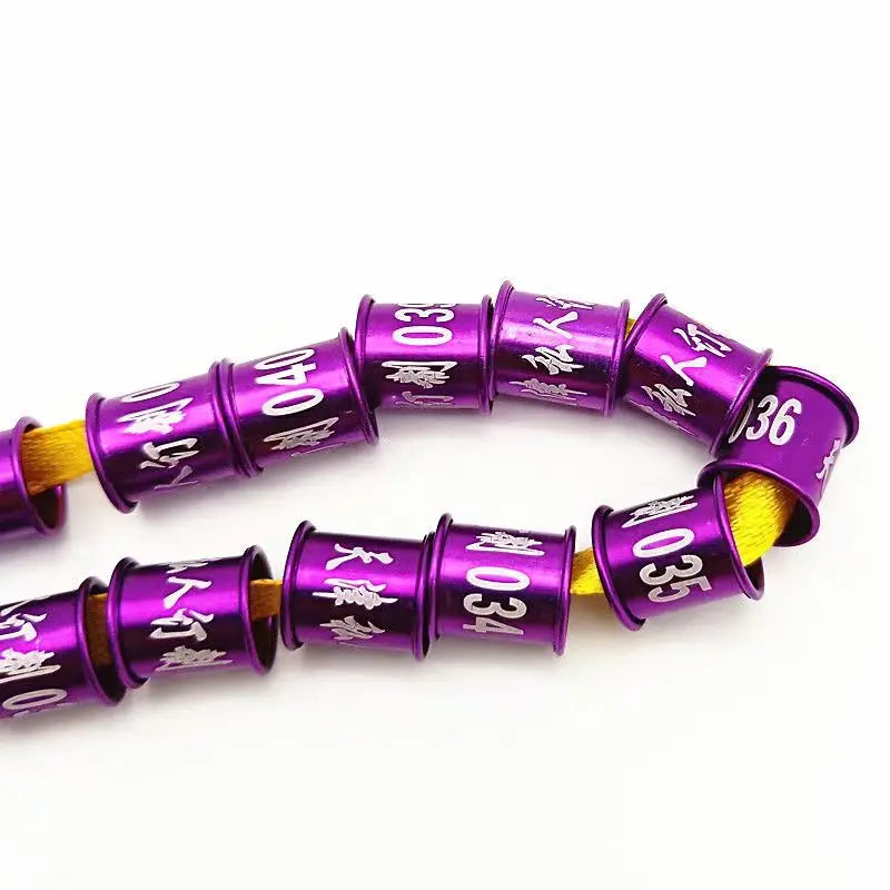 DIY Custom Pigeon Foot Ring Customizable Name Phone Number Year