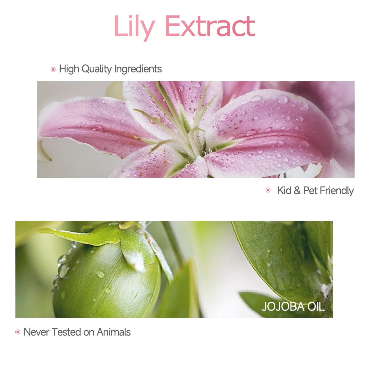 Lily essential oil, with its delicate floral fragrance, is suitable for aromatherapy and body massage. Zpaxo