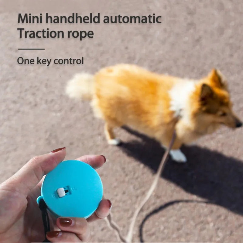 2M Automatic Flexible Dog Leash Small Dogs Cat Puppy Leashes