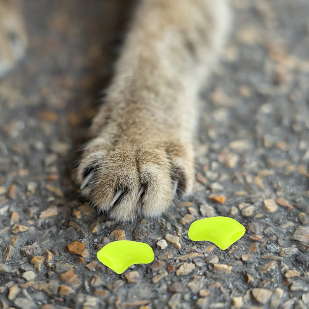 Comfortable Cat Claw Caps Tpr Material Nail Protectors Indoor