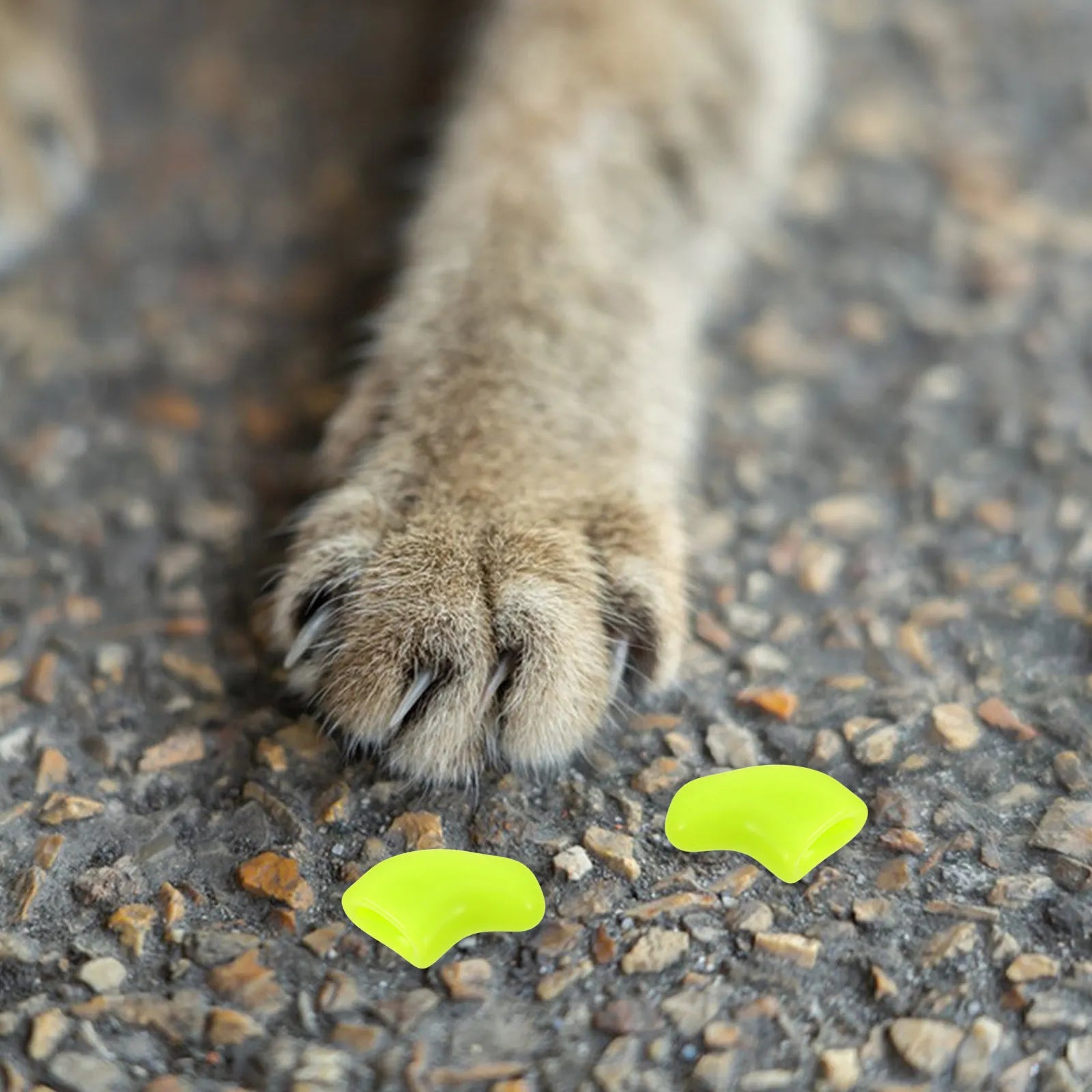 Comfortable Cat Claw Caps Tpr Material Nail Protectors Indoor