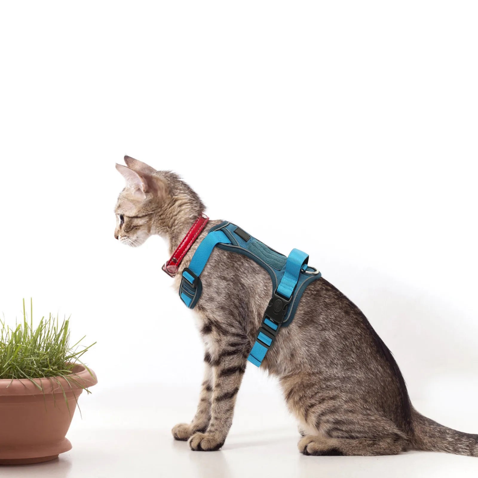 Portable Dog Harness Adjustable Puppy Vest Reflective Wear Resistant
