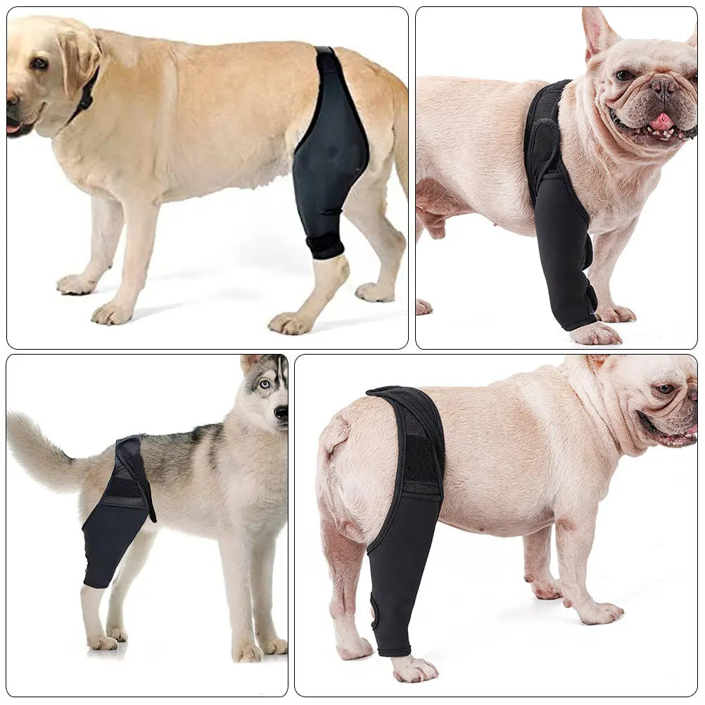 Dog Leg Brace Premium Neoprene Strap Injured Support Elastic