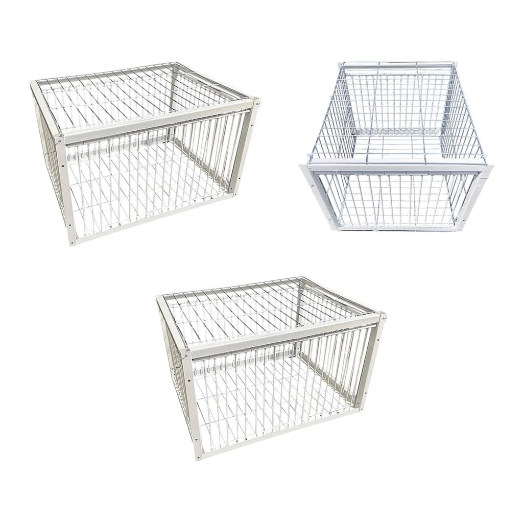 Pigeon Trap Cage – Humane Single Entry Bird Trap for Farms Bird Trap Cage Zpaxo