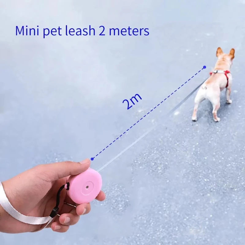 2M Automatic Flexible Dog Leash Small Dogs Cat Puppy Leashes