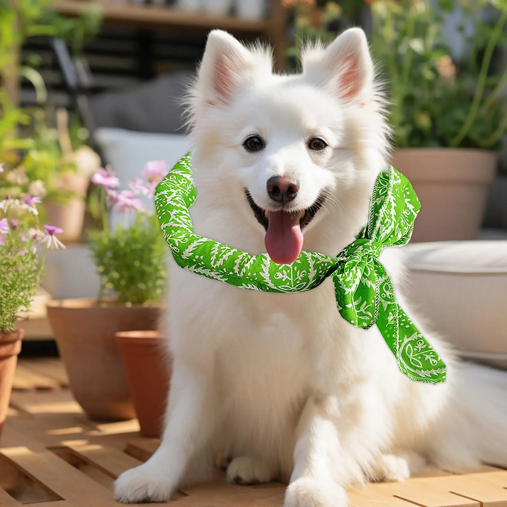 Dog Cooling Bandana Instant Breathable Neck Towel Outdoor Cat Ice Collar Towel For Puppy Small Medium Large Breed Indoor Outdoor Zpaxo