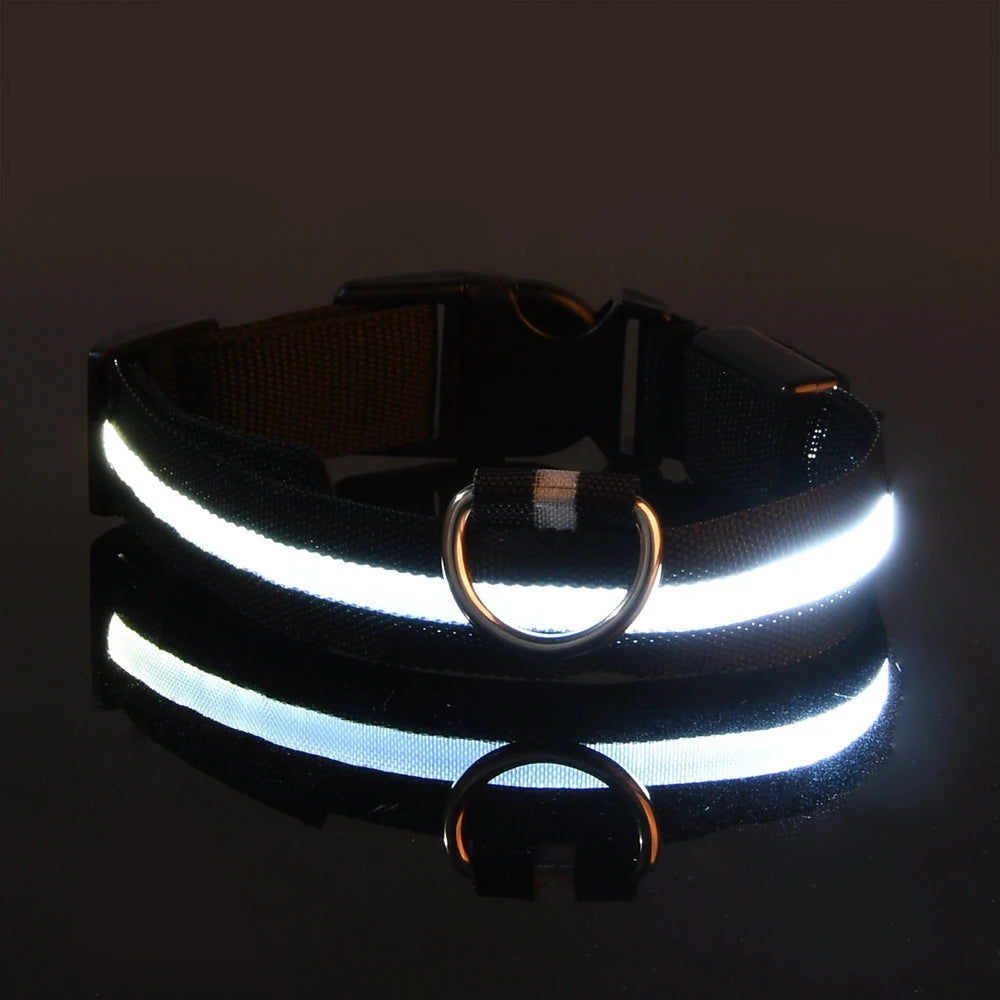 Nylon LED Night Safety Flashing Glow In The Dark Dog Leash Dogs Luminous Fluorescent Pet Dog Collar Zpaxo black S
