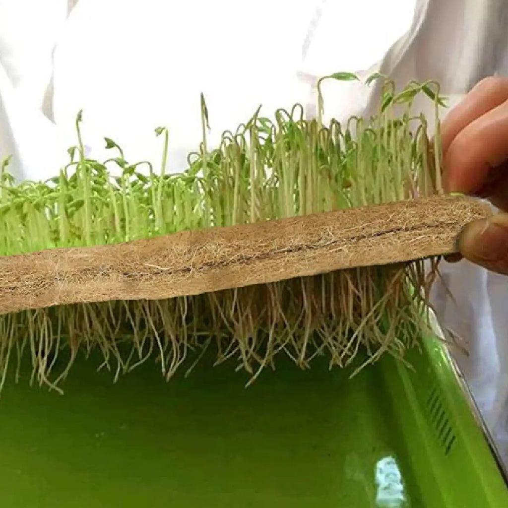 Jute Grow Mat 8 Pieces Jute Growing Seedling Pads 10x20 Inch Organic Germination Mat for Beginner Indoor Home Garden Balcony Zpaxo