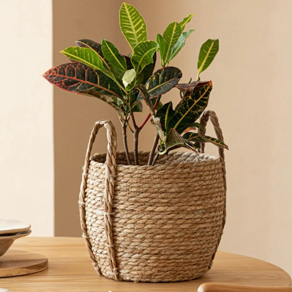 Rattan Planter Basket Rustic Organizer Handle Woven Plant Indoor