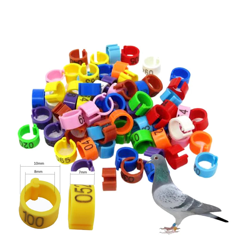 Bird Clip Ring ID Plastic Digital Markup Parrot Pigeons 10 Colors Zpaxo MULTI