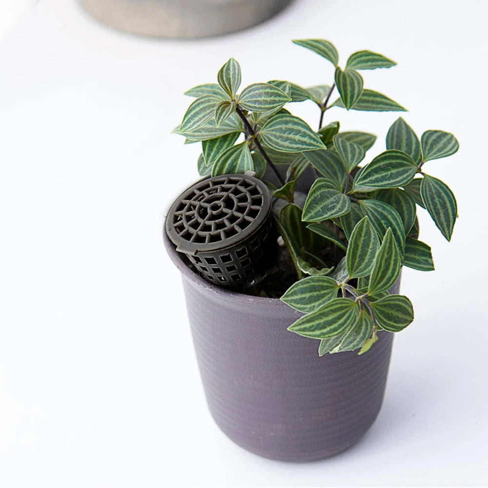 Plant Fertilizer Baskets Lid Automatic Pot Box Bonsai Container
