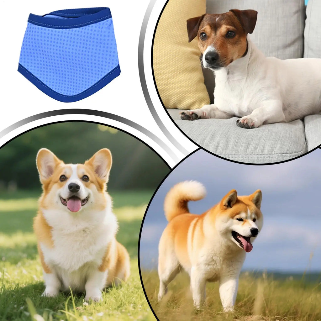 Summer Dog Cooling Ice Scarf Cool Towel Quick Release Pet Clothes