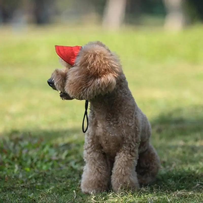 Stylish Dog Cap 4 Size Available Breathable Design Pet Sun Hat For Daily Walks And Play Beach Zpaxo