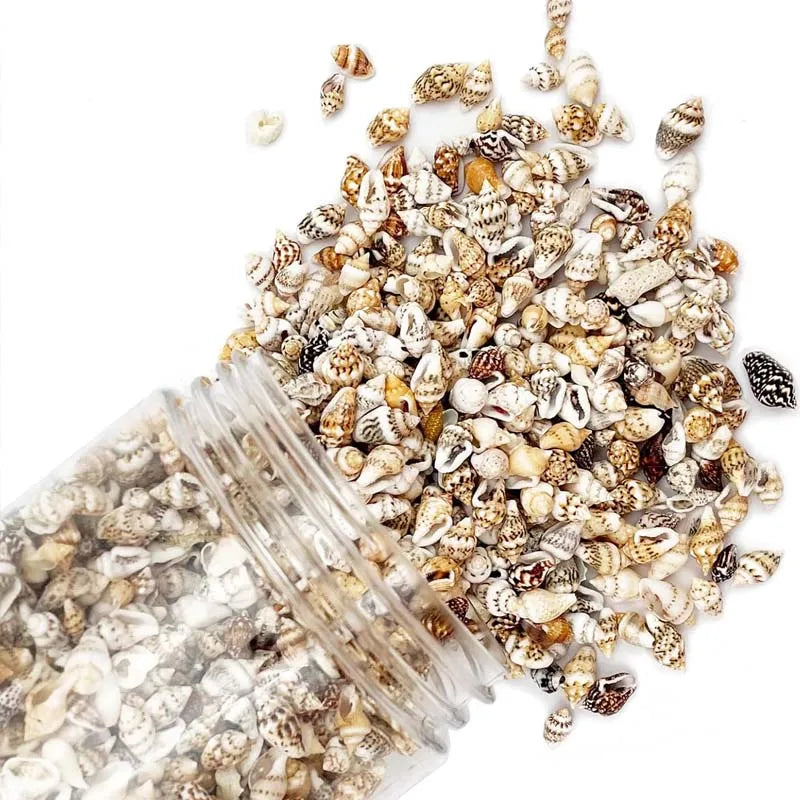 Tiny Sea Shells, Mixed 20g about 100pcs Ocean Beach Spiral Seashells Craft Charms for Home Decorations Candle Making, DIY Crafts Zpaxo