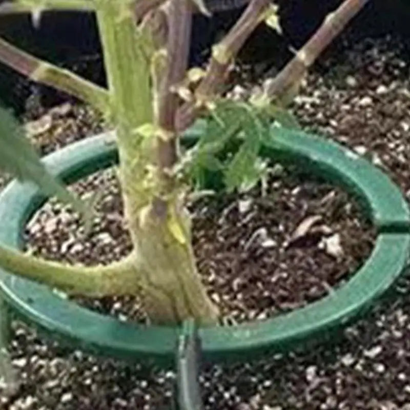 Hydro Halo Water Ring Multi Outlet Drip Irrigation Ring Sturdy Water Ring For Watering Plants Ideal Water Distribution Zpaxo
