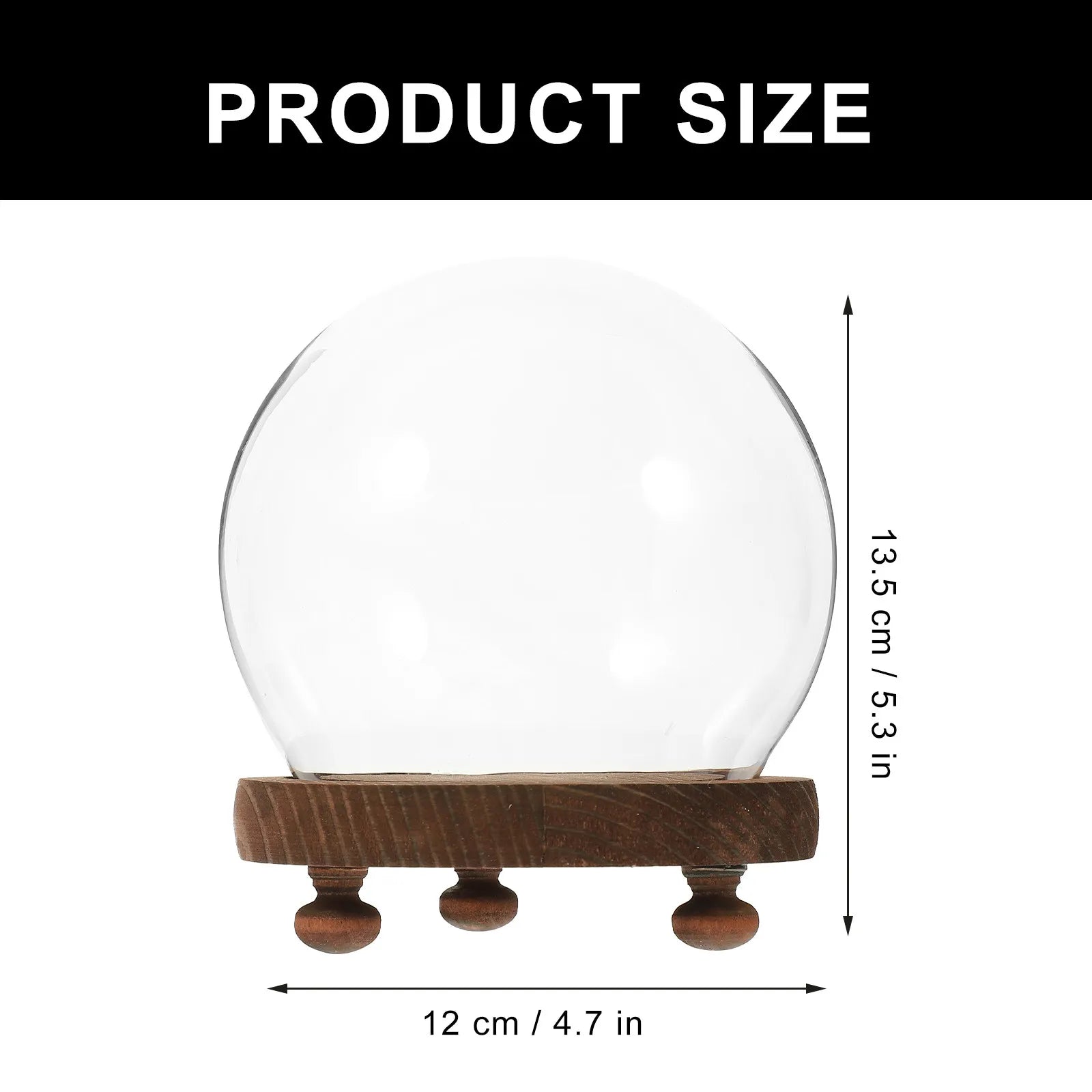 Miniature Round Glass Dome Wood Base Display Case Clear Cover Eternal