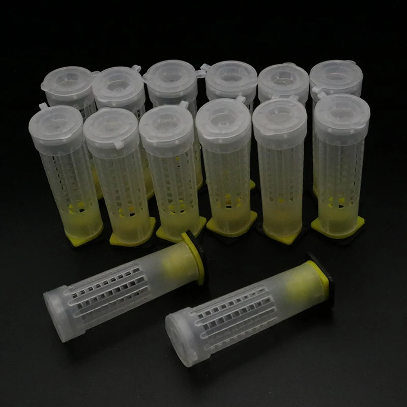 Queen Rearing Cup Beekeeping Tools Plastic Bee Farm Larva Protection