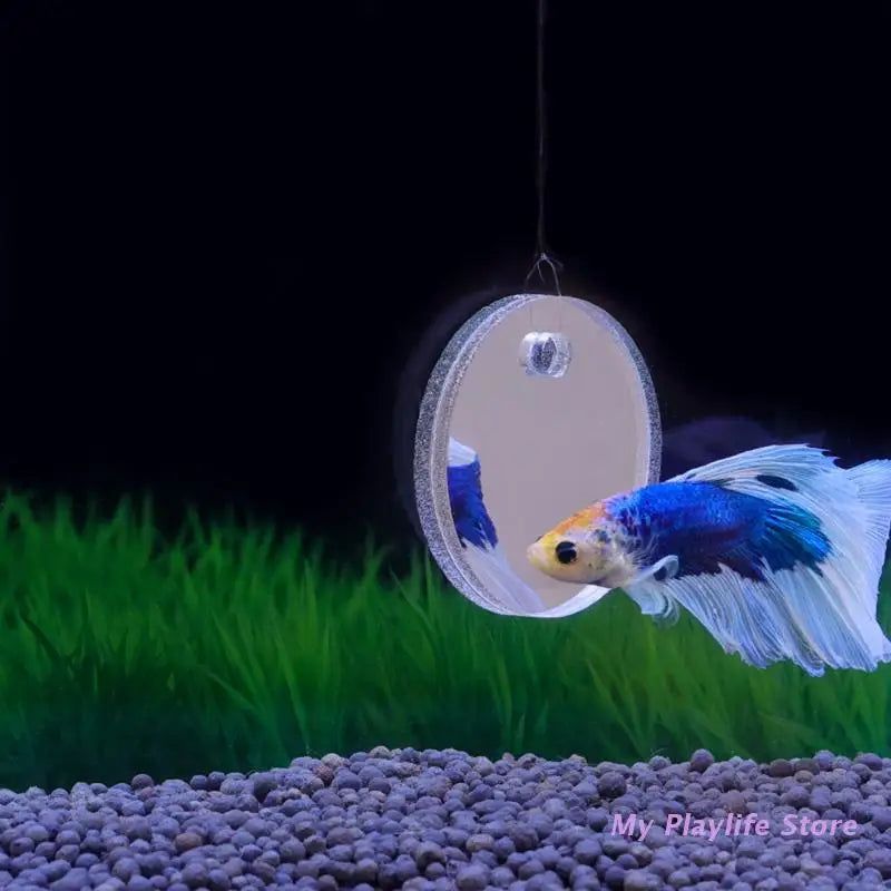 Floating Betta Exercise Mirror Dia. 5cm/6cm/7cm Floating Round Mirror Fish Tank Antidepressant Betta Training Mirror Zpaxo