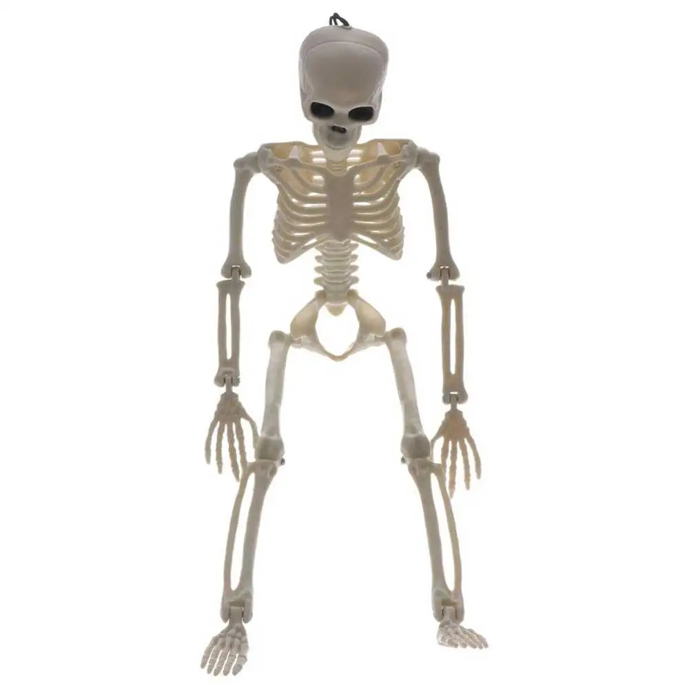 Decoration Skeleton Art Sketch Flexible Learn Aid Human Model Car Zpaxo