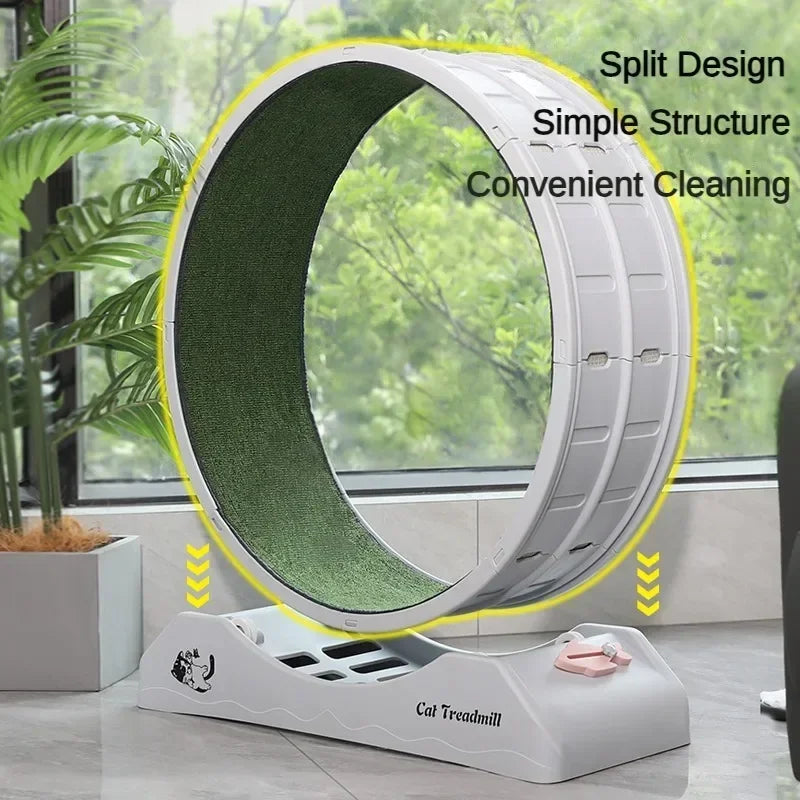 Silent Cat Exercise Wheel – Wear-Resistant Fitness Treadmill
