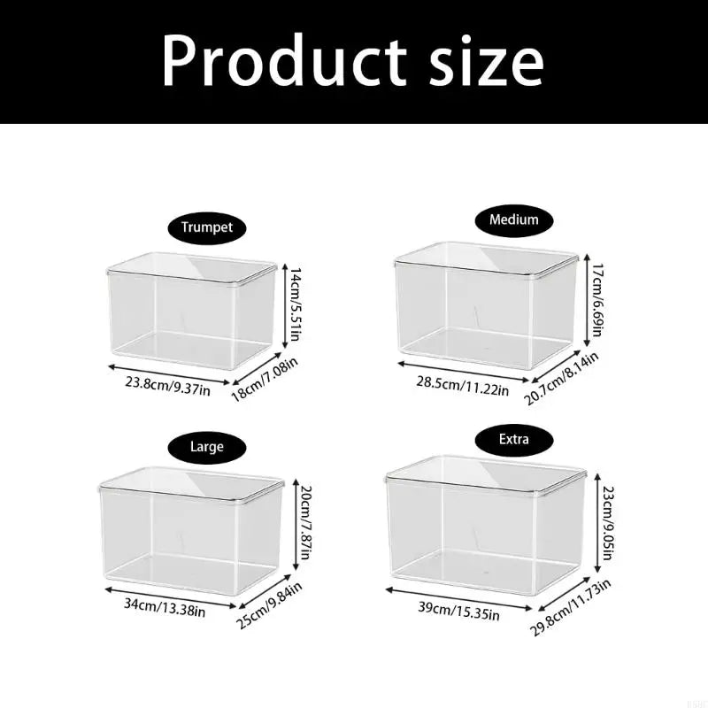 Frameless Tabletop Aquarium Shatterproof Clear Acrylic Aquatic Scene