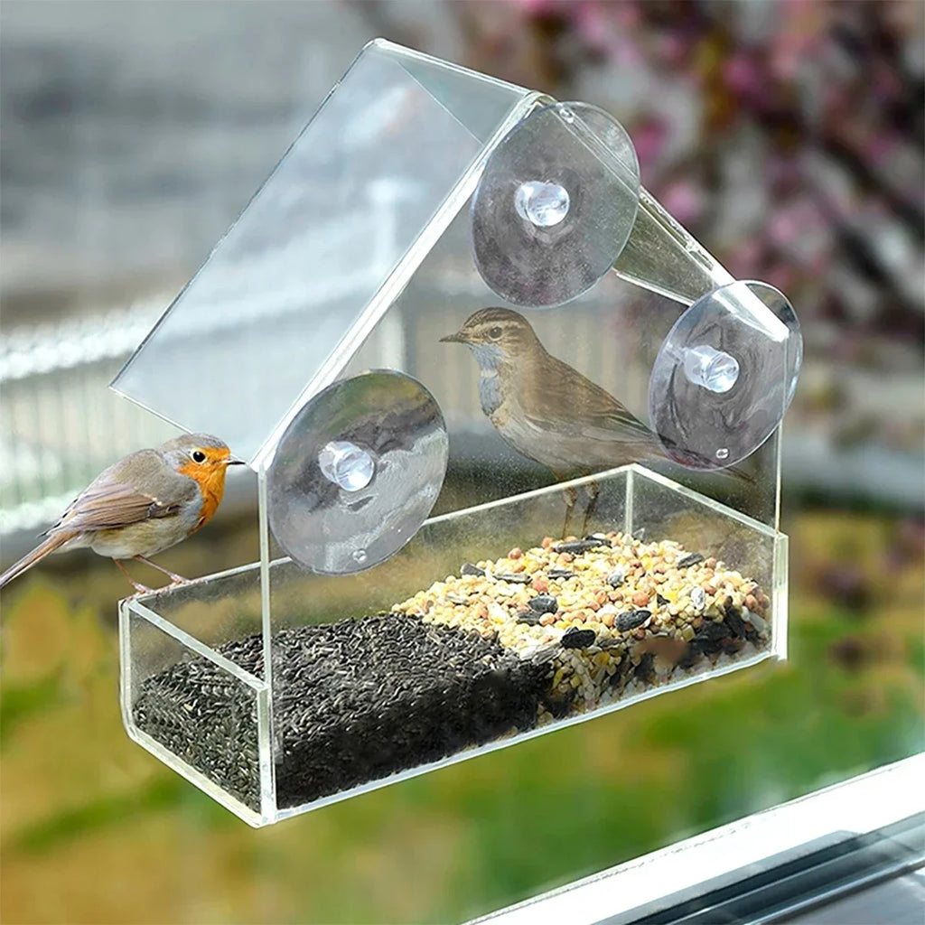 House Transparent Window Wild Bird Feeder Outdoor Removable Suction
