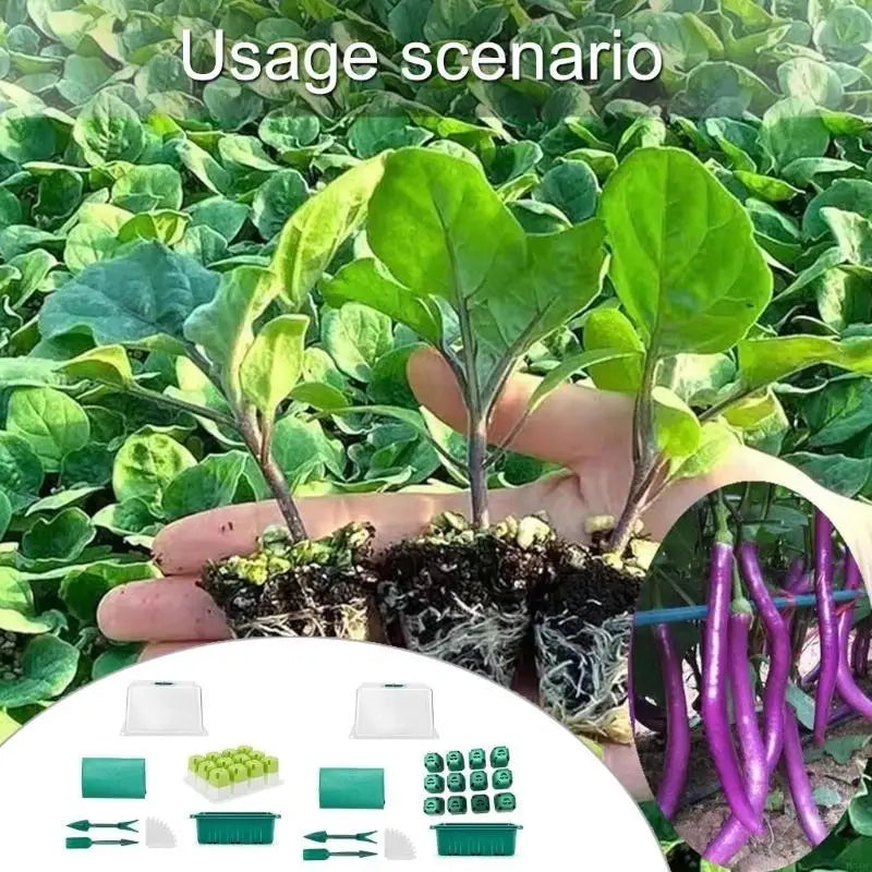Seedling Tray Mini Greenhouse Starter Kits Indoor Outdoor Planting
