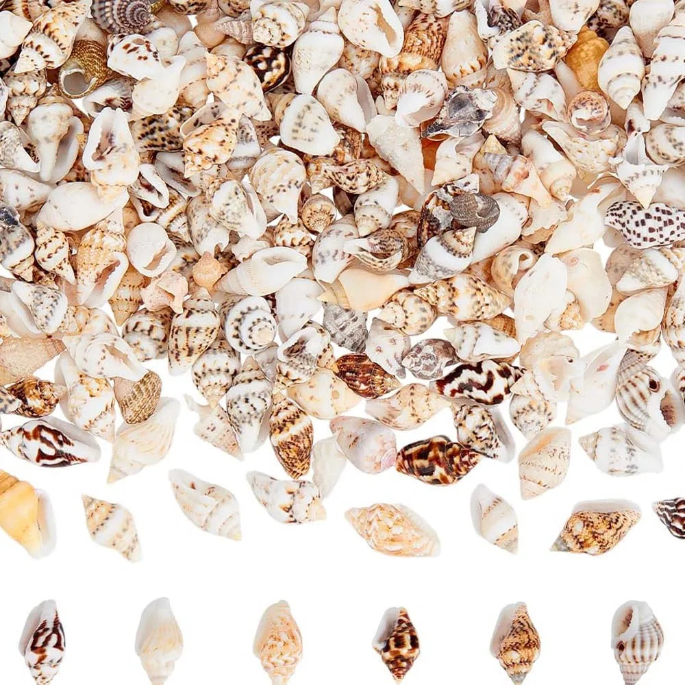 Miniature Spiral Seashells for Resin Crafting – 100pcs 20g Pack Craft Shell Embellishments Zpaxo 20g about 100pcs