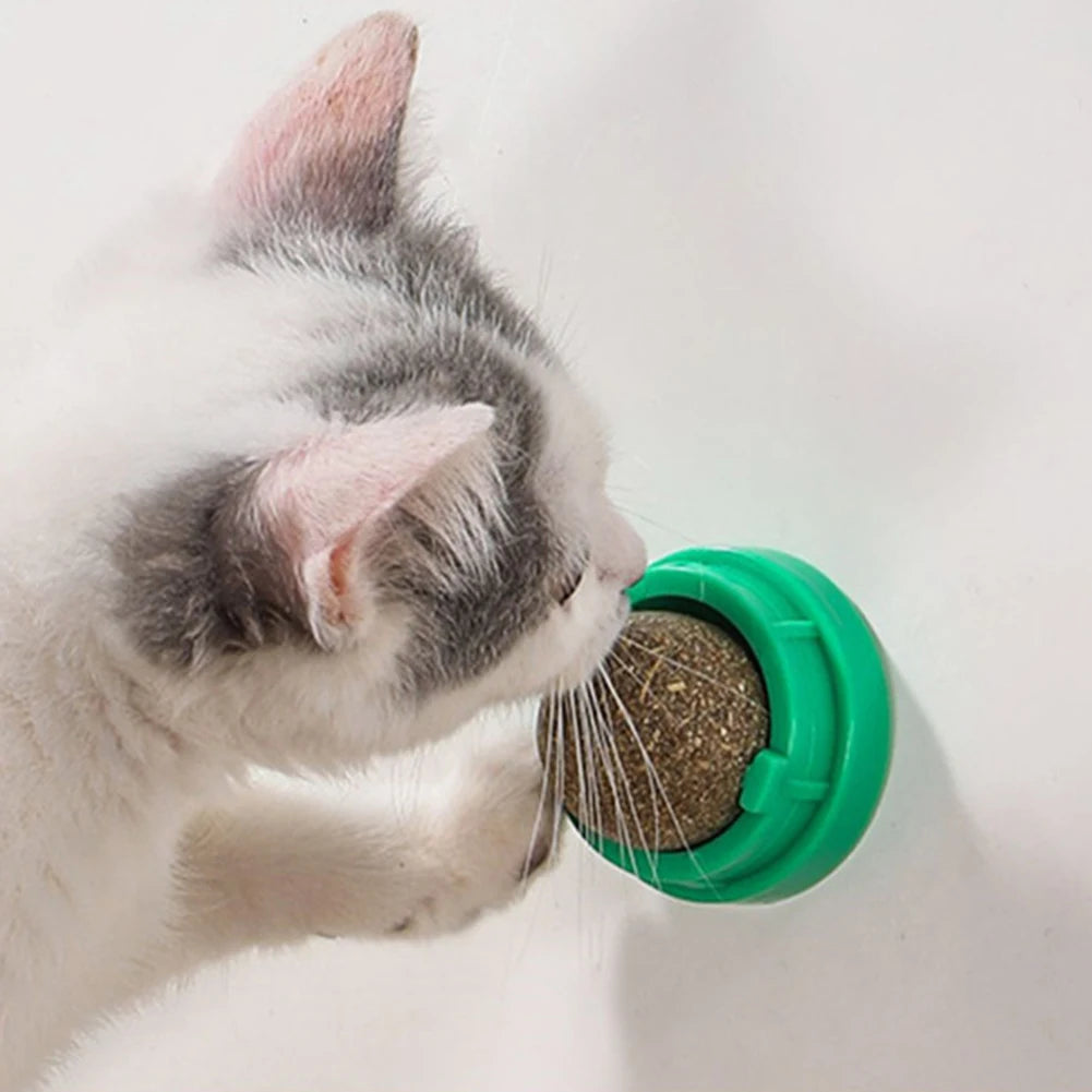 3Pcs Cats Wall Catnip Ball Self-Adhensive Kitten Lickable Ball Healthy Kitten Chew Toys Teeth Cleaning Catmint Toy Pet Supplies Zpaxo