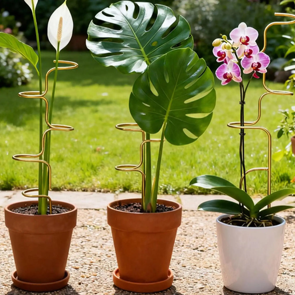 Metal Plant Stakes Monstera Stem Support Garden Stake Rose Fix Holder